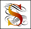 Symphony Imaging Logo